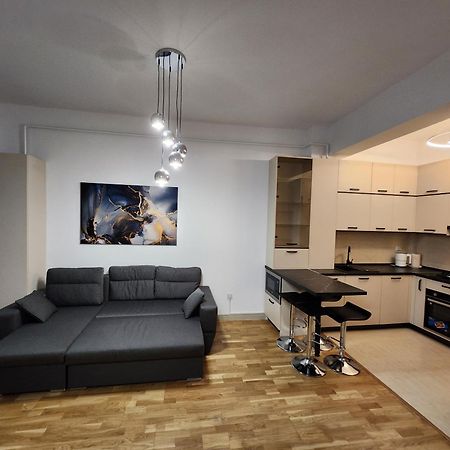 Near Airport 2 Rooms Apartments In Himson Iasi Bagian luar foto